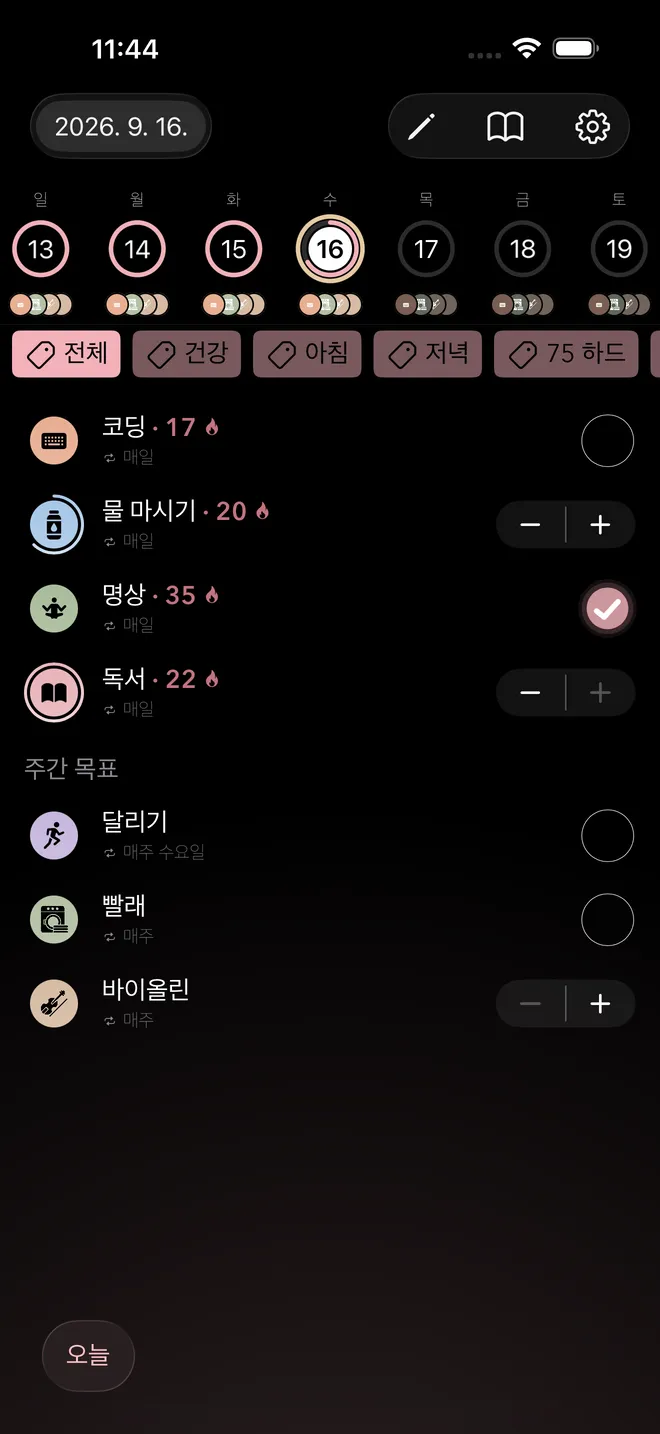 오늘 화면. 매일 하는 습관과 현재 연속 기록, 그 아래에 주간 목표가 있음